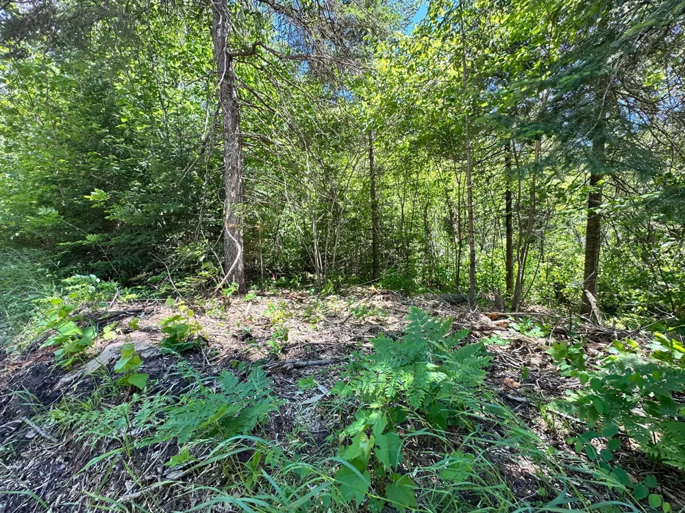 TBD Kansas City Road NE Waskish, MN 56685