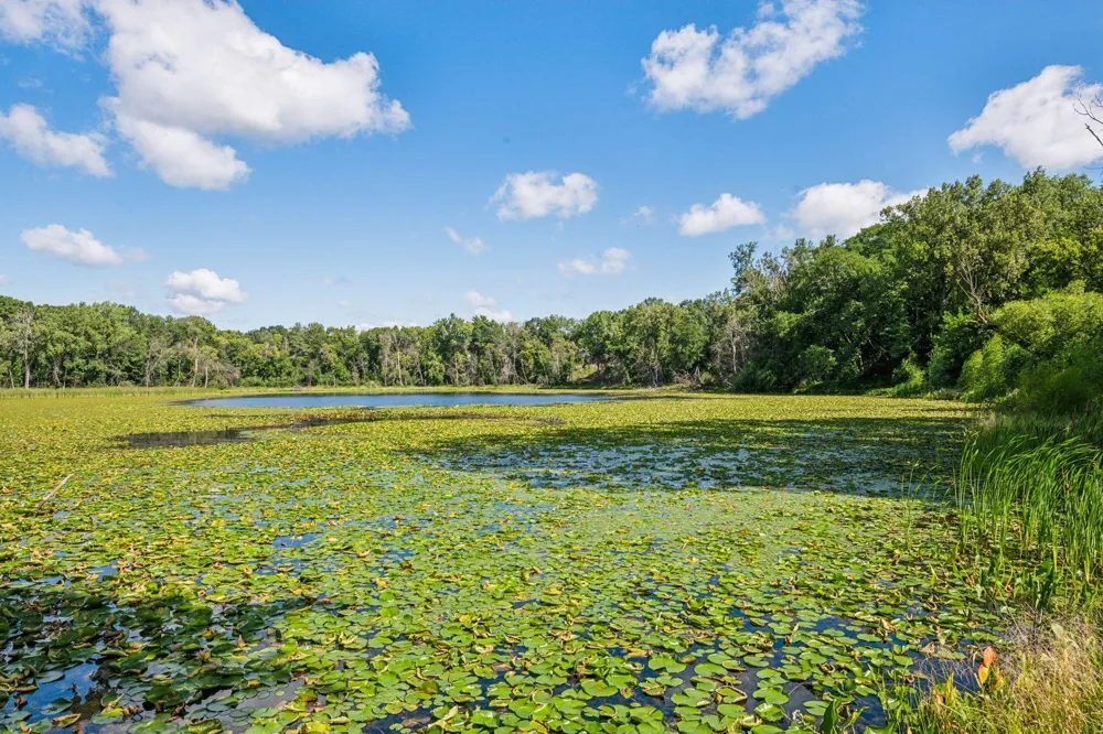 6085 Rowland Road #207 Minnetonka, MN 55343