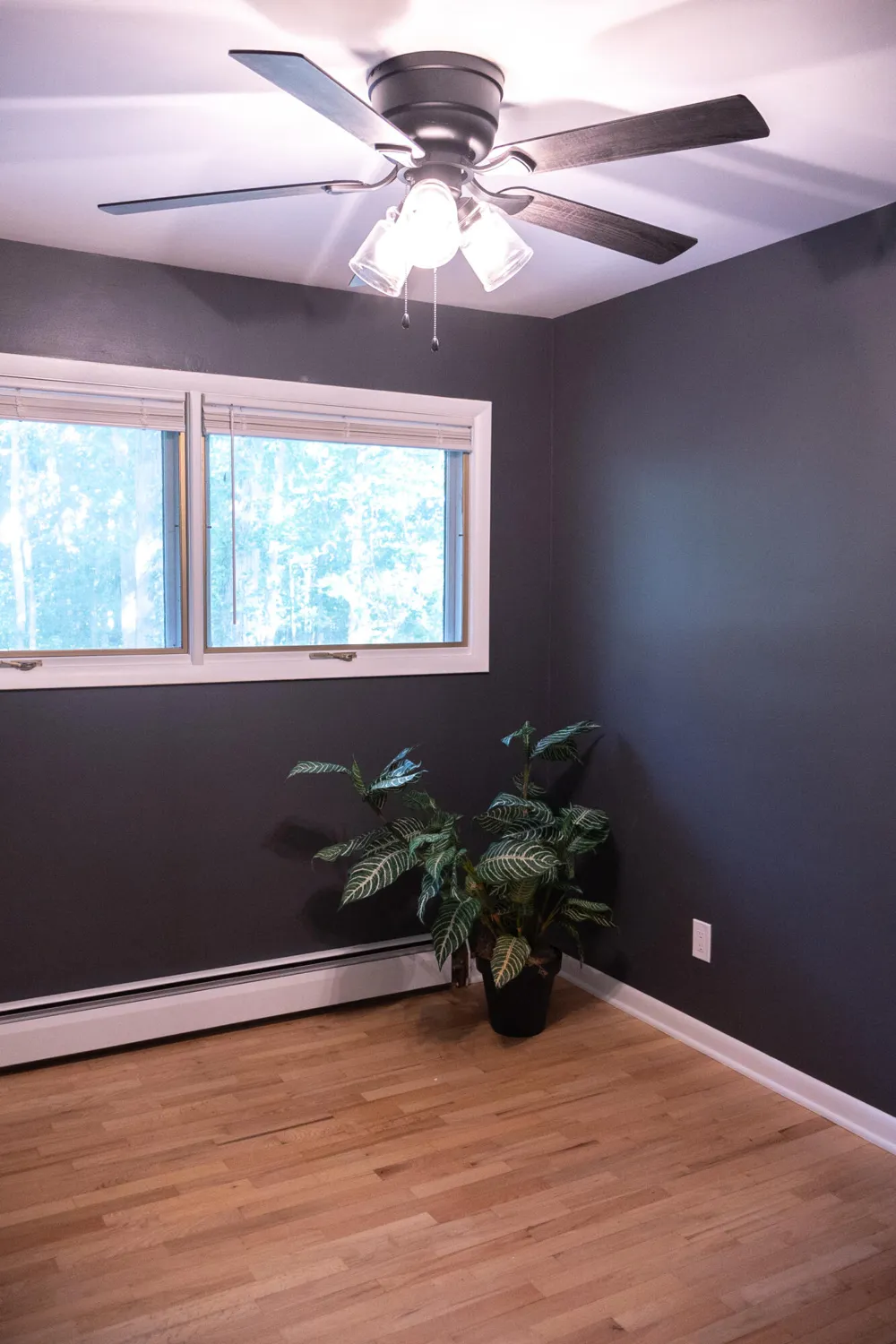 12449 California Road Sawyer, MI 49125