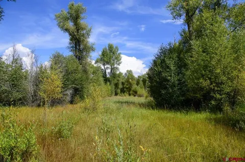 451 Kokanee Court