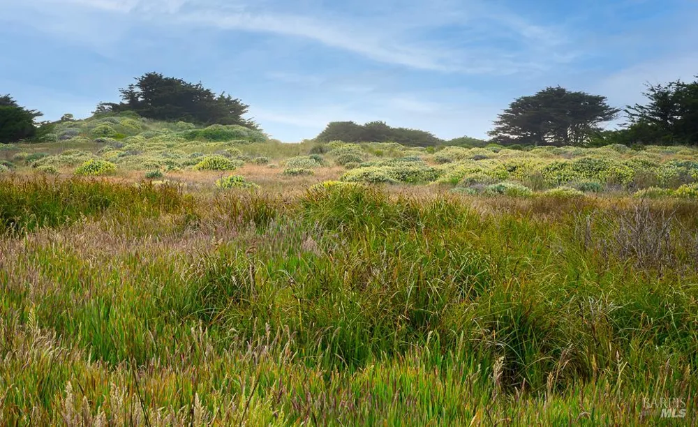 42080 Rock Cod The Sea Ranch, CA 95497