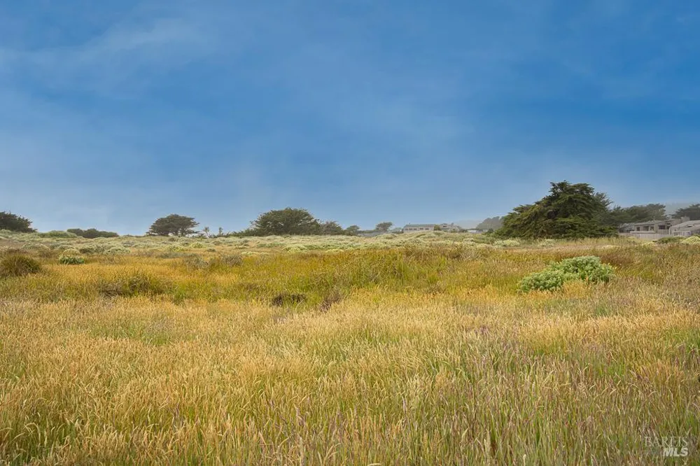 42080 Rock Cod The Sea Ranch, CA 95497