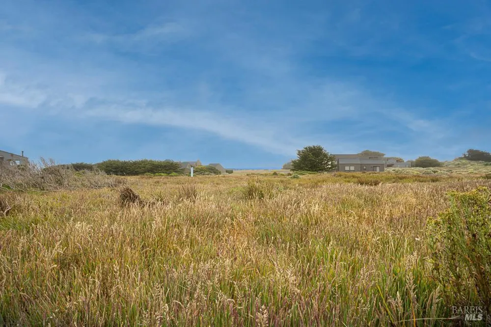 42080 Rock Cod The Sea Ranch, CA 95497