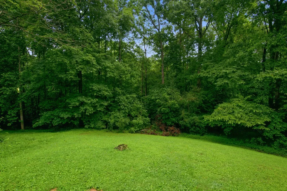 958 Jordan Cir White Bluff, TN 37187