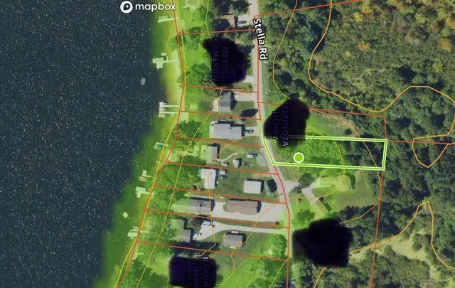108 Stella Street Custer, MI 49405