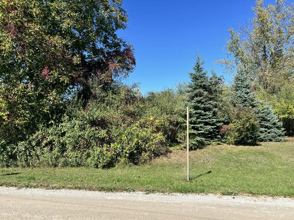 108 Stella Street Custer, MI 49405