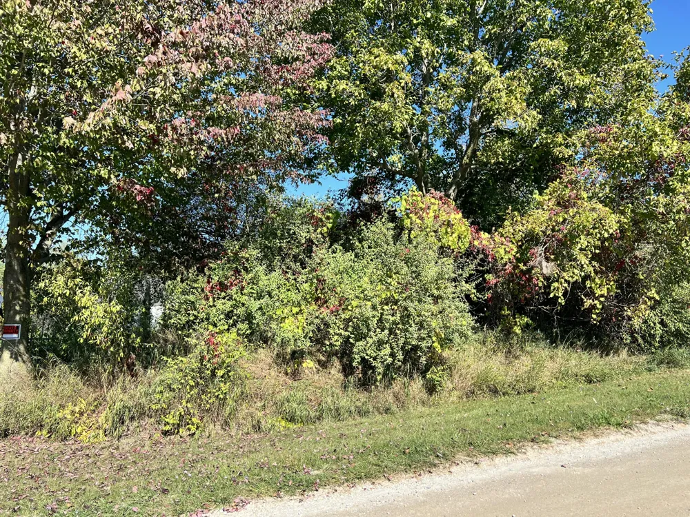 108 Stella Street Custer, MI 49405