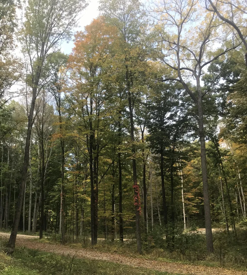 2996 Court Drive SE Lowell, MI 49331
