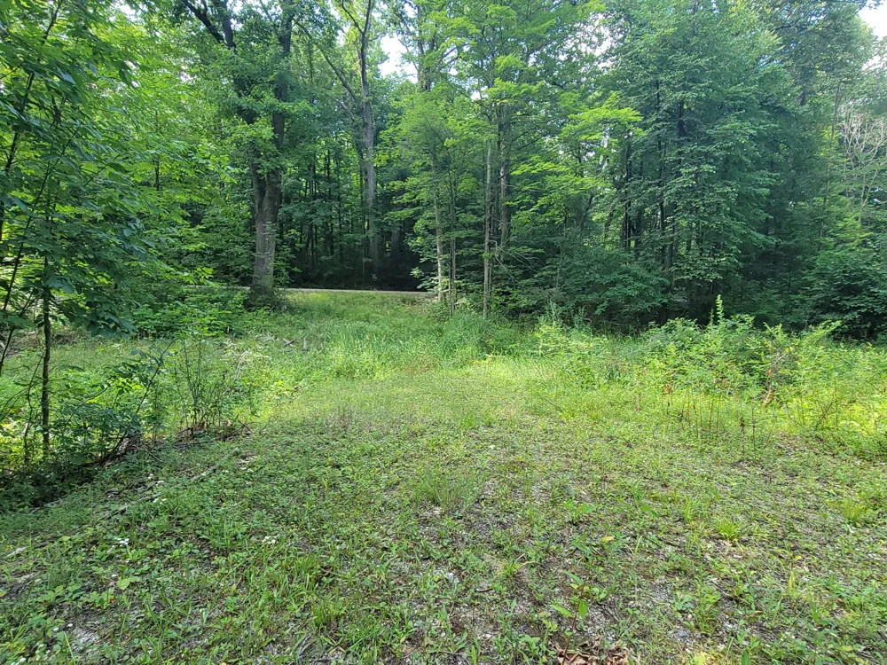 2996 Court Drive SE Lowell, MI 49331