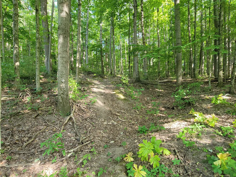 2996 Court Drive SE Lowell, MI 49331