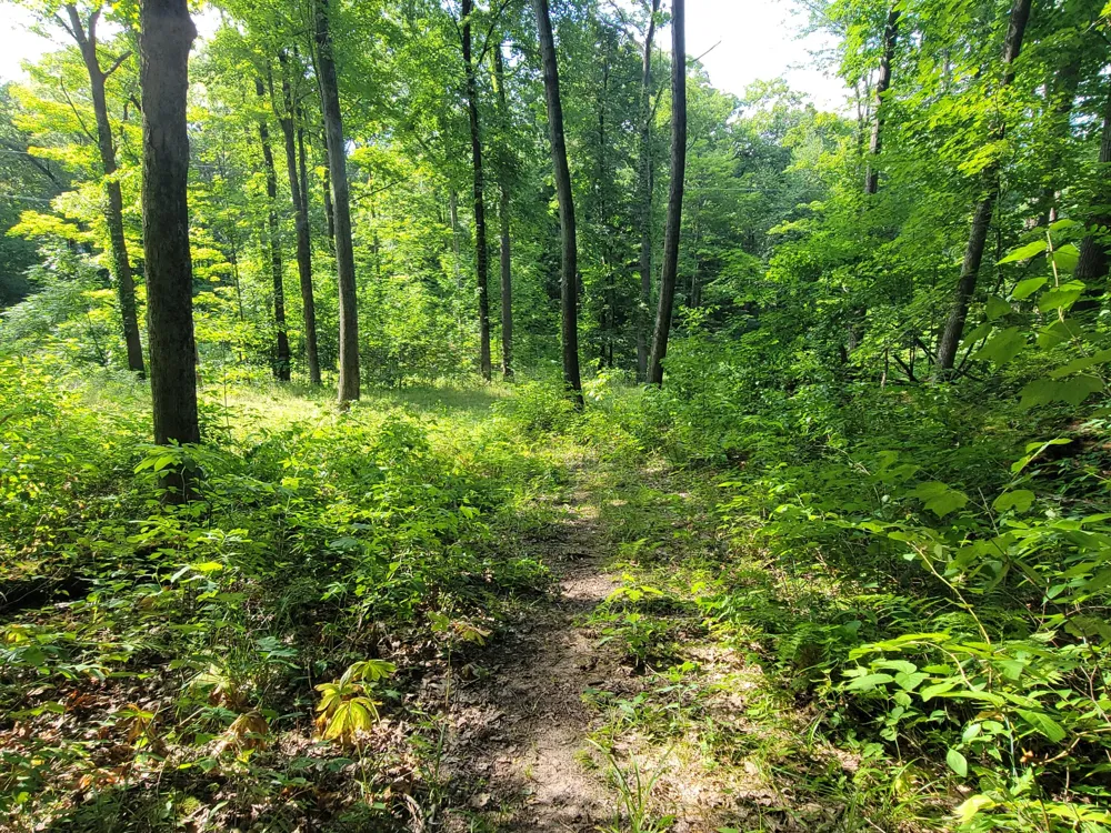 2996 Court Drive SE Lowell, MI 49331