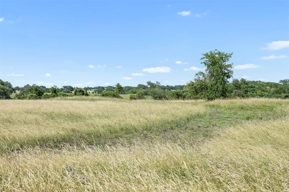 W Fm 1291 Tract 3 Round Top, TX 78954