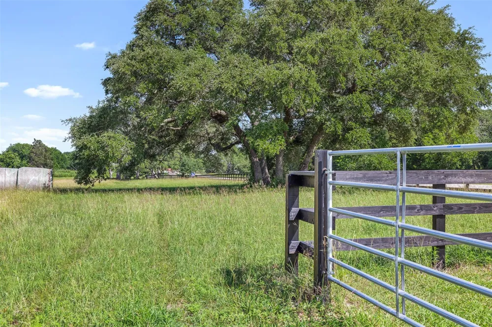 W Fm 1291 Tract 3 Round Top, TX 78954