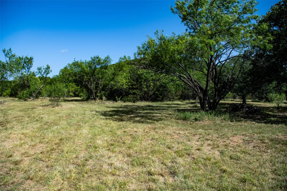 235 Big Bear Loop Strawn, TX 76475