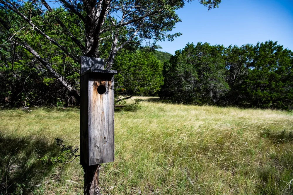 235 Big Bear Loop Strawn, TX 76475