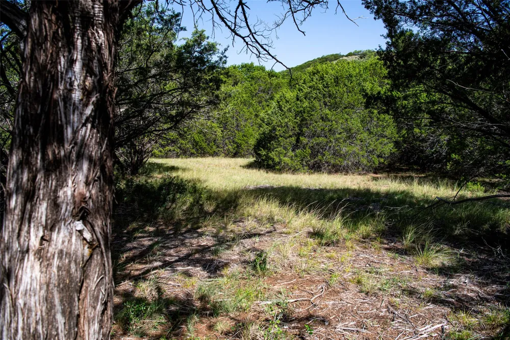 235 Big Bear Loop Strawn, TX 76475