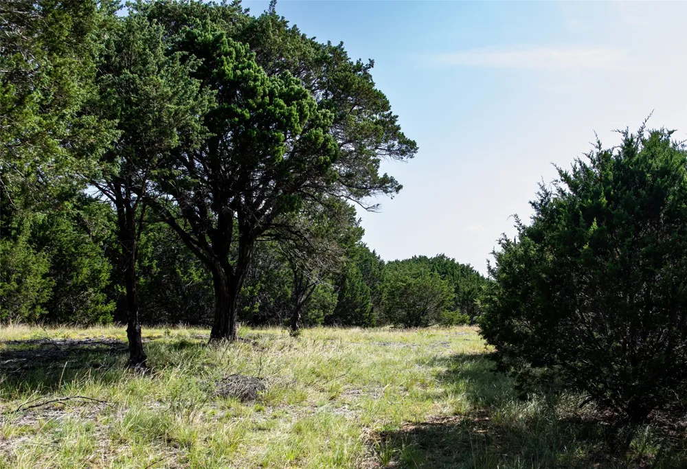 235 Big Bear Loop Strawn, TX 76475