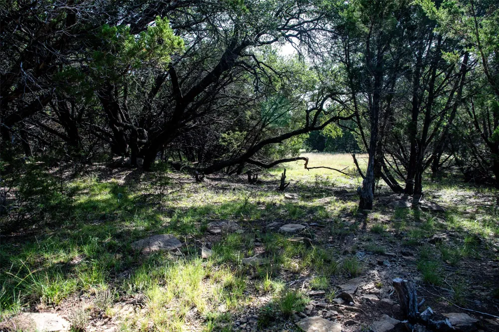 235 Big Bear Loop Strawn, TX 76475