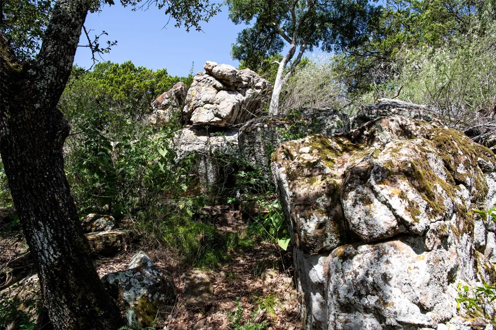 235 Big Bear Loop Strawn, TX 76475