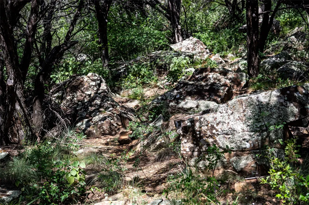235 Big Bear Loop Strawn, TX 76475