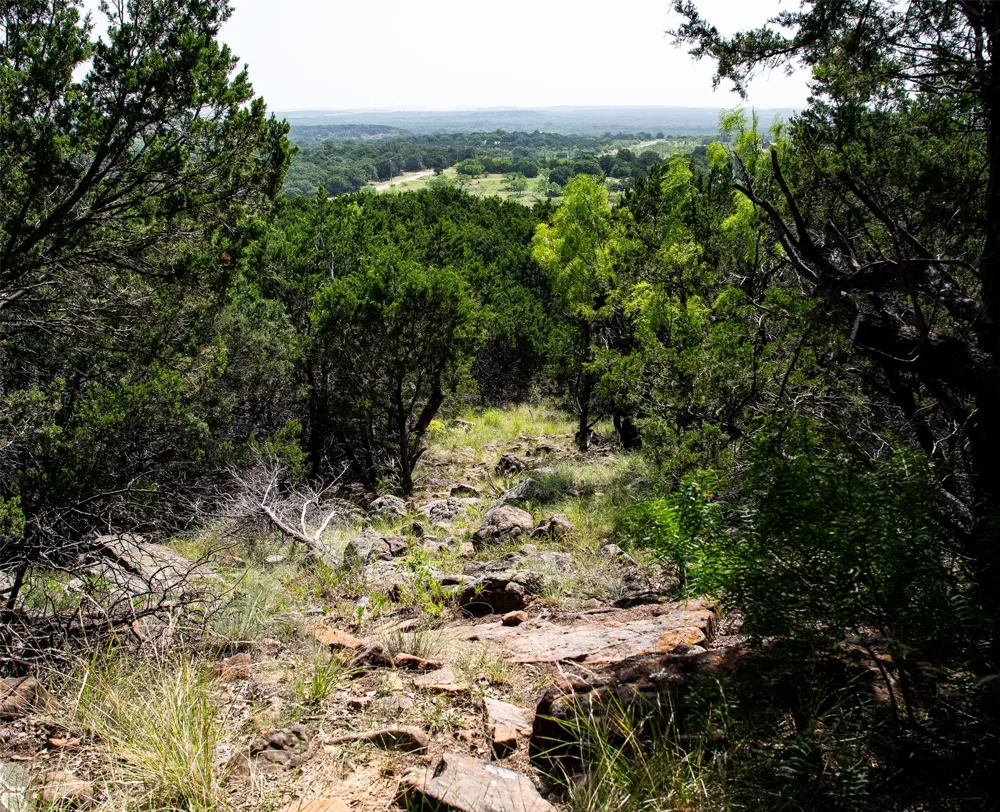 235 Big Bear Loop Strawn, TX 76475