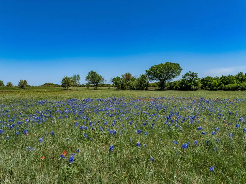 W Fm 1291 Tract 4 Round Top, TX 78954