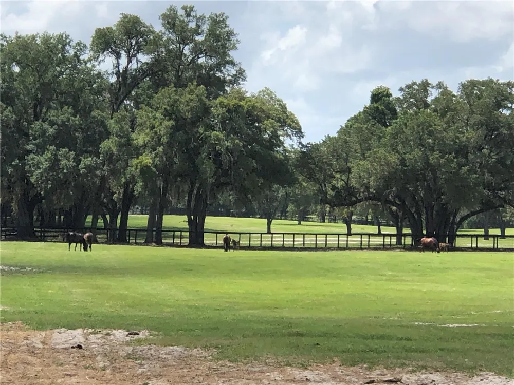 00 SE 30TH STREET Morriston, FL 32668