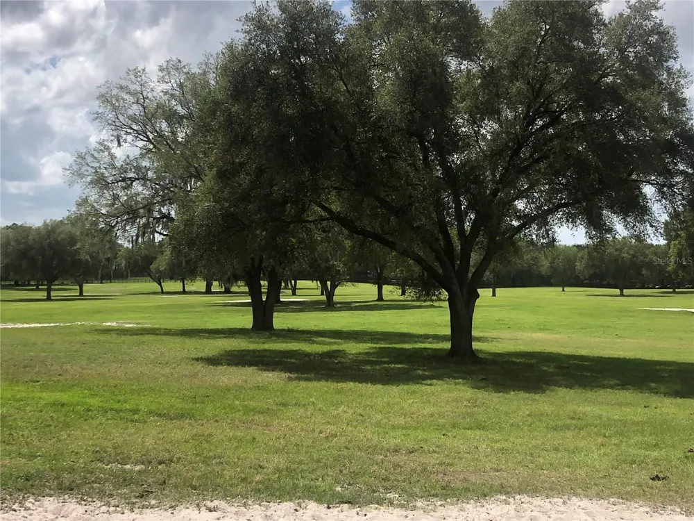 00 SE 30TH STREET Morriston, FL 32668