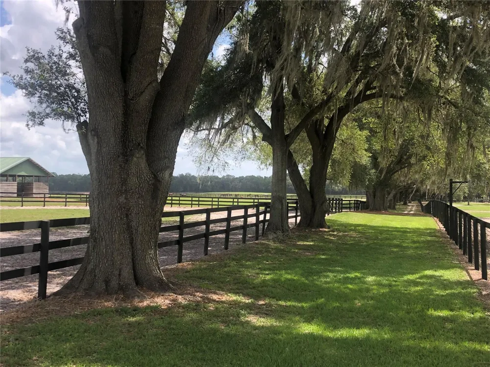 00 SE 30TH STREET Morriston, FL 32668