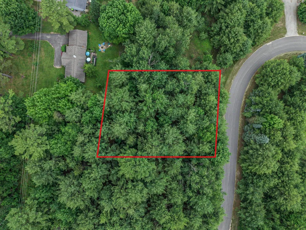 36 Servers Drive Torch Lake Township, MI 49648