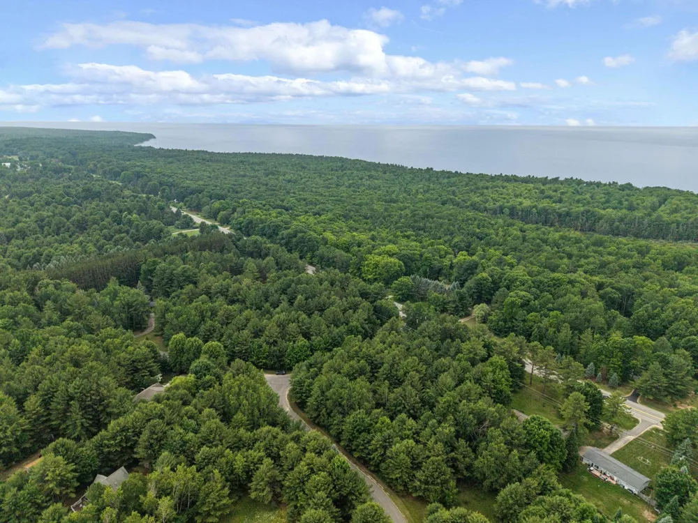36 Servers Drive Torch Lake Township, MI 49648