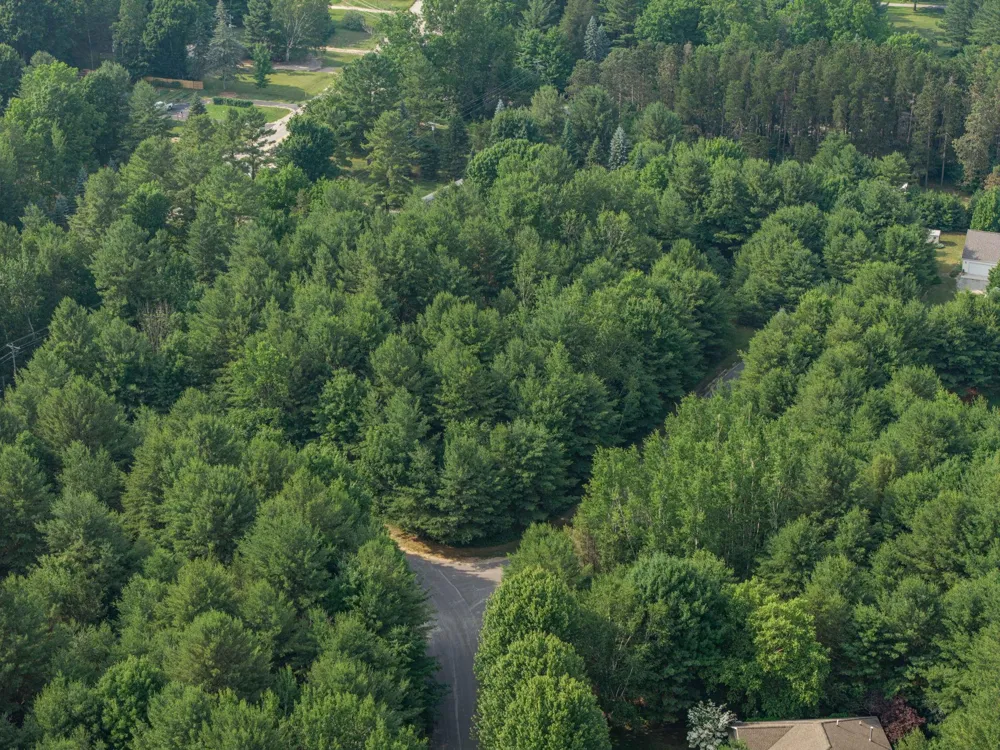 36 Servers Drive Torch Lake Township, MI 49648