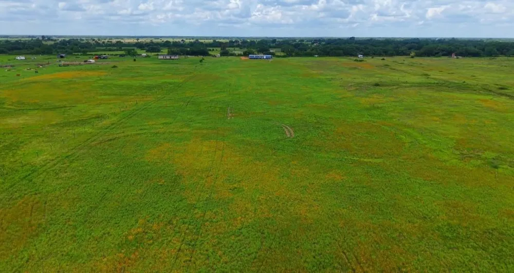 1087 Cr 141 Rock Island, TX 77470