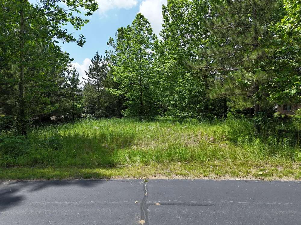 29265 Misty Pines Street Dowagiac, MI 49047