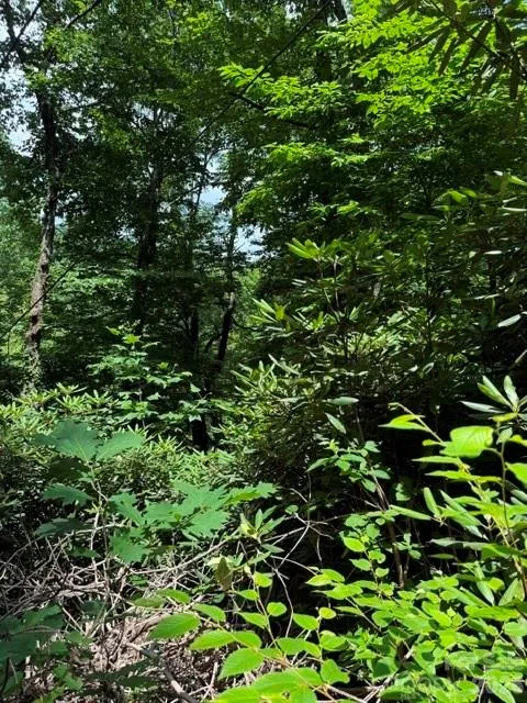 99999 NC 9 Highway Black Mountain, NC 28711