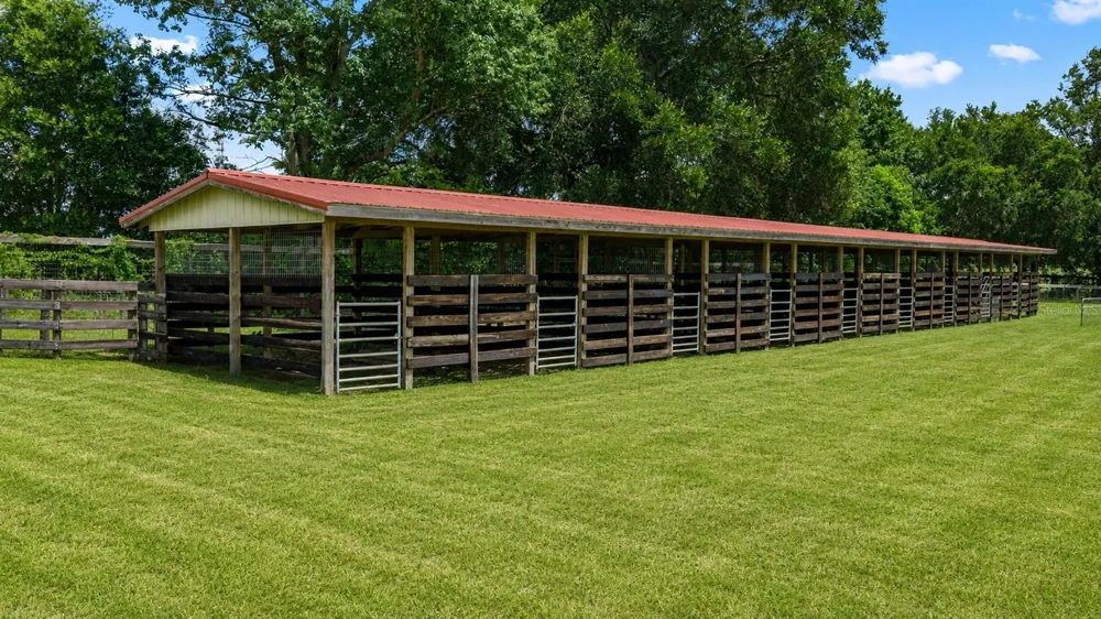 15269 NE 15TH COURT Citra, FL 32113