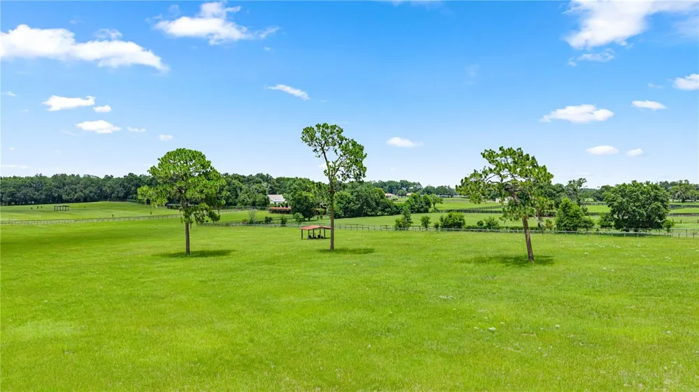 15269 NE 15TH COURT Citra, FL 32113