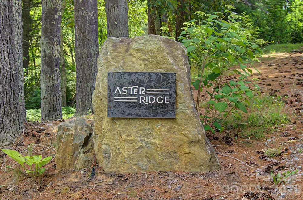 34 Aster Ridge Drive Waynesville, NC 28786