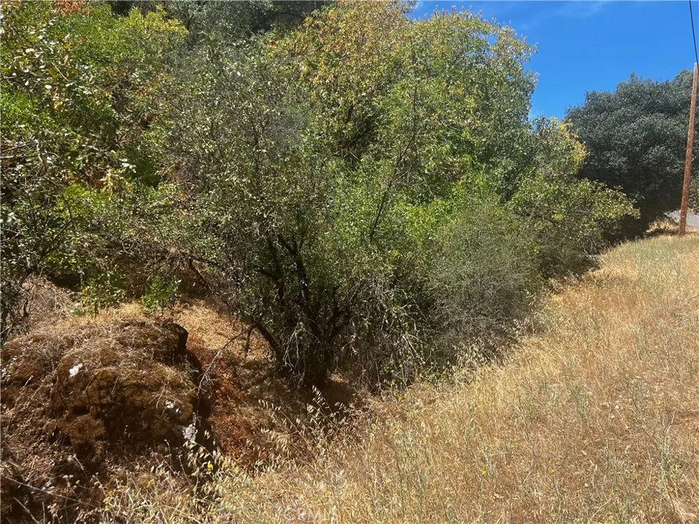 12225 Mount View Drive Clearlake Oaks, CA 95423