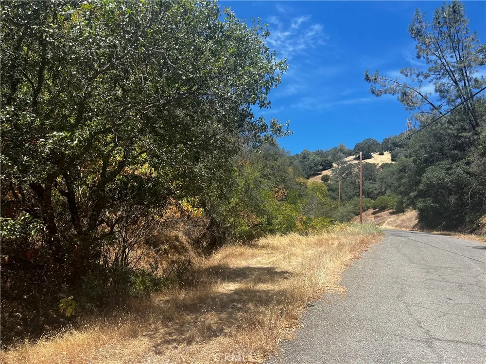 12225 Mount View Drive Clearlake Oaks, CA 95423