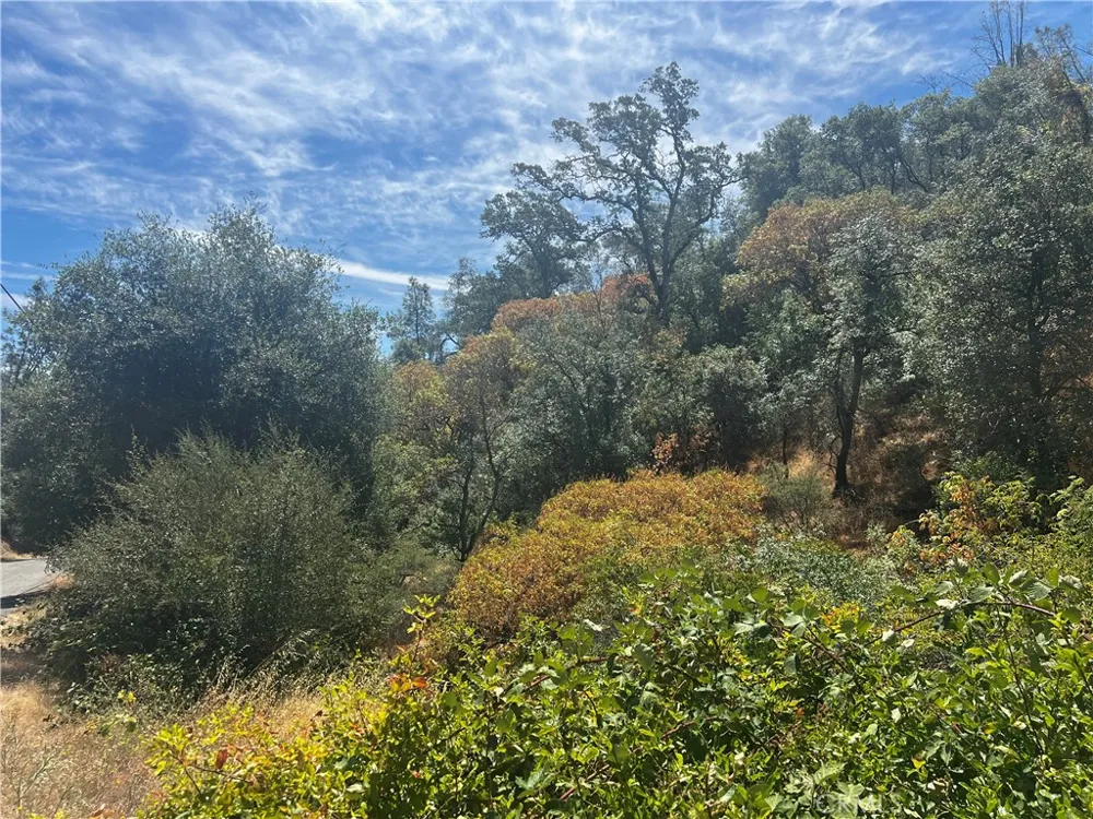 12225 Mount View Drive Clearlake Oaks, CA 95423