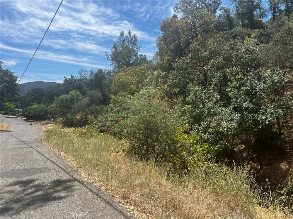 12225 Mount View Drive Clearlake Oaks, CA 95423