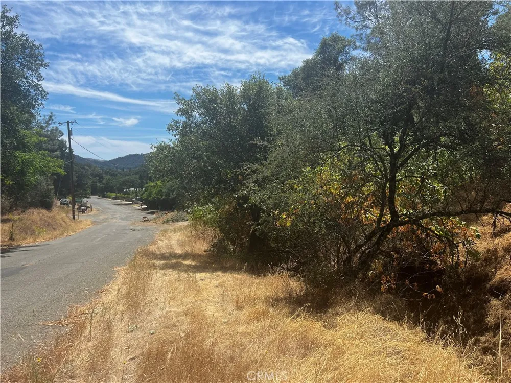 12225 Mount View Drive Clearlake Oaks, CA 95423