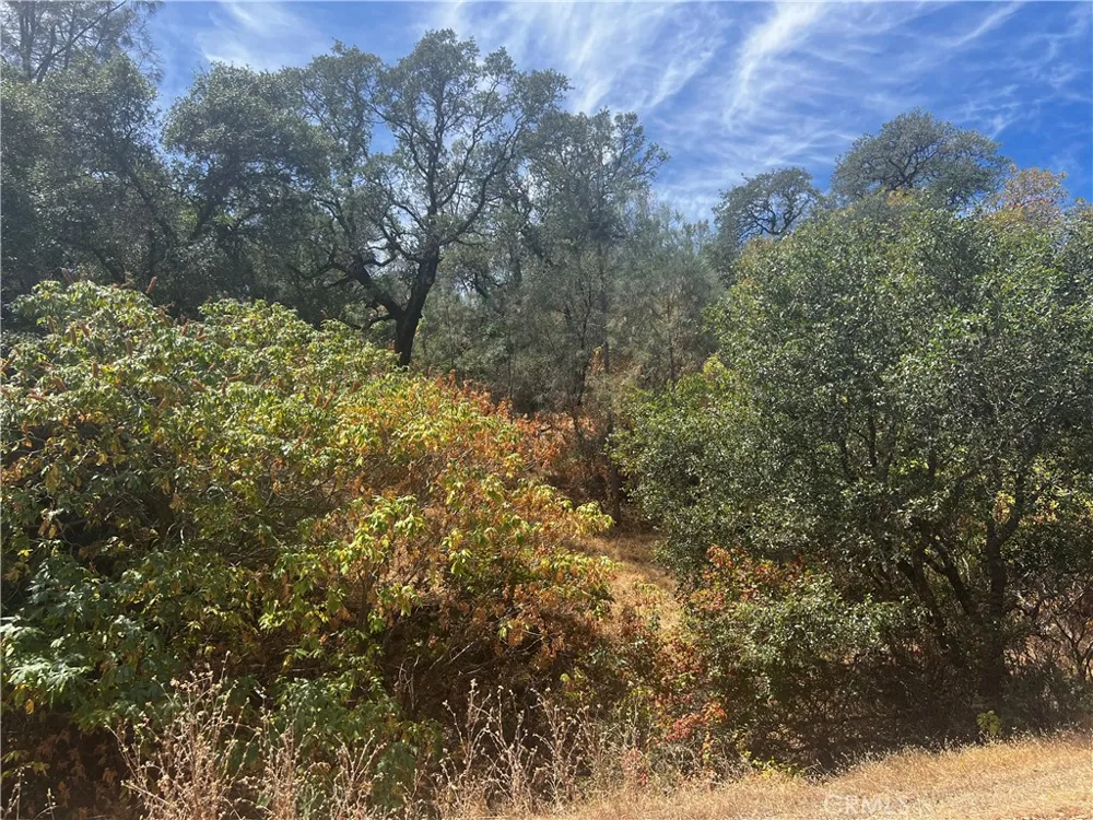 12225 Mount View Drive Clearlake Oaks, CA 95423