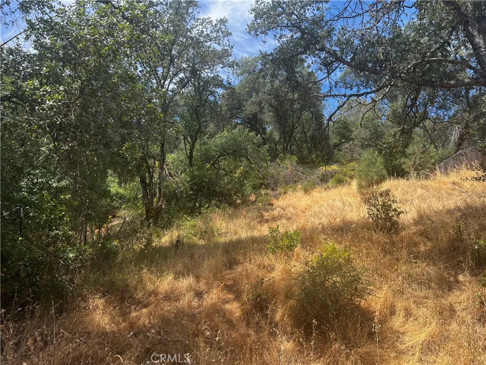 12225 Mount View Drive Clearlake Oaks, CA 95423