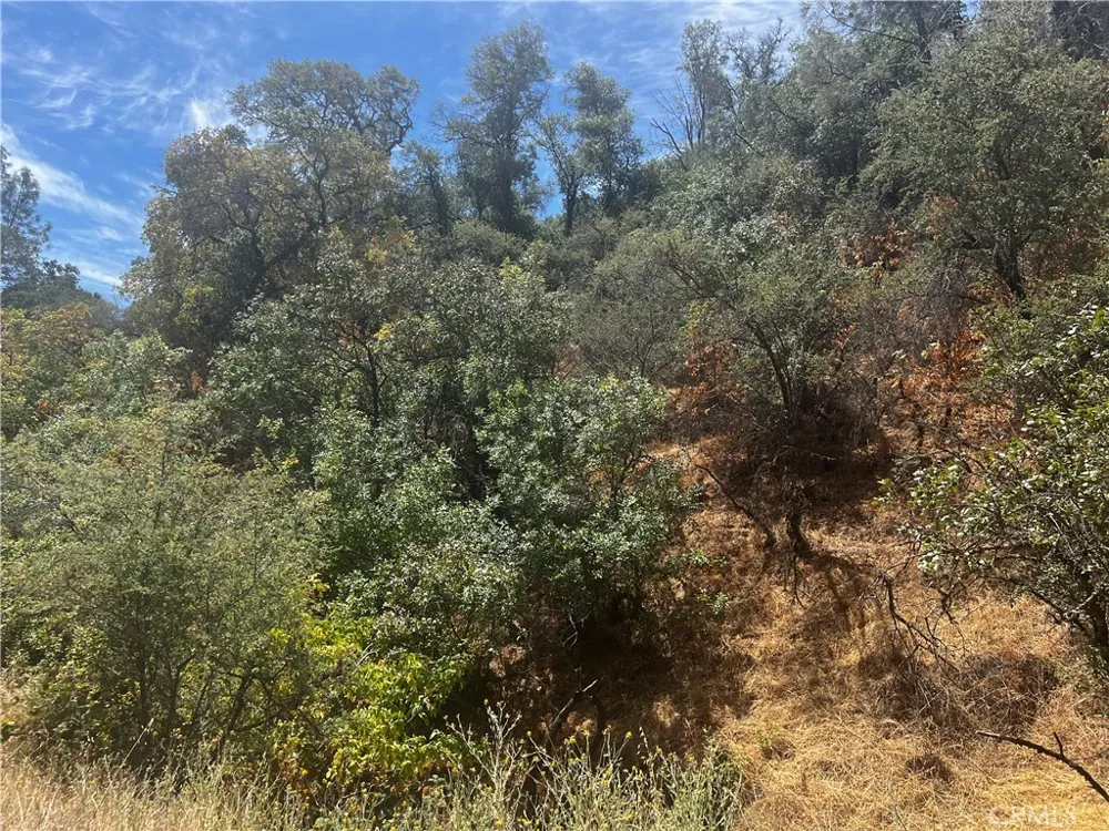 12225 Mount View Drive Clearlake Oaks, CA 95423