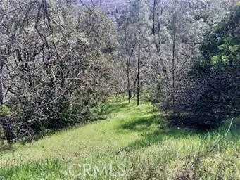 12225 Mount View Drive Clearlake Oaks, CA 95423