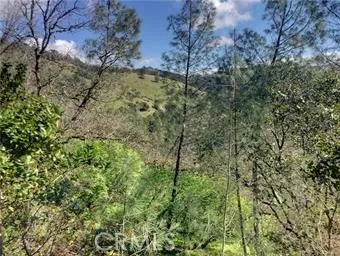 12225 Mount View Drive Clearlake Oaks, CA 95423