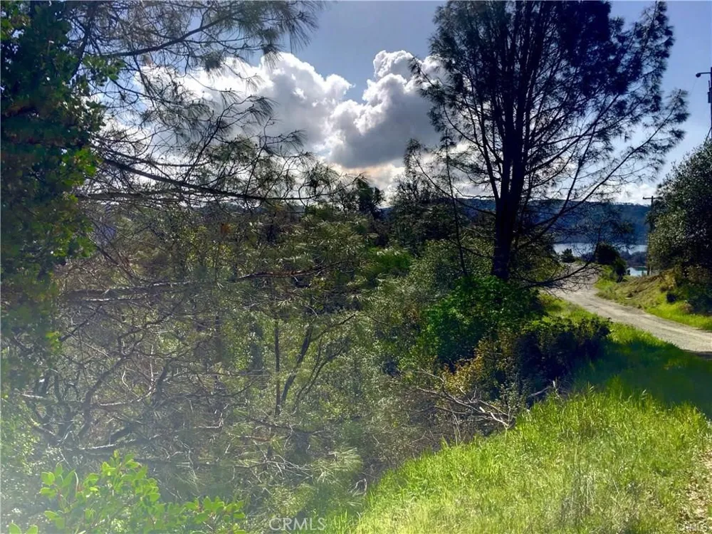 12225 Mount View Drive Clearlake Oaks, CA 95423