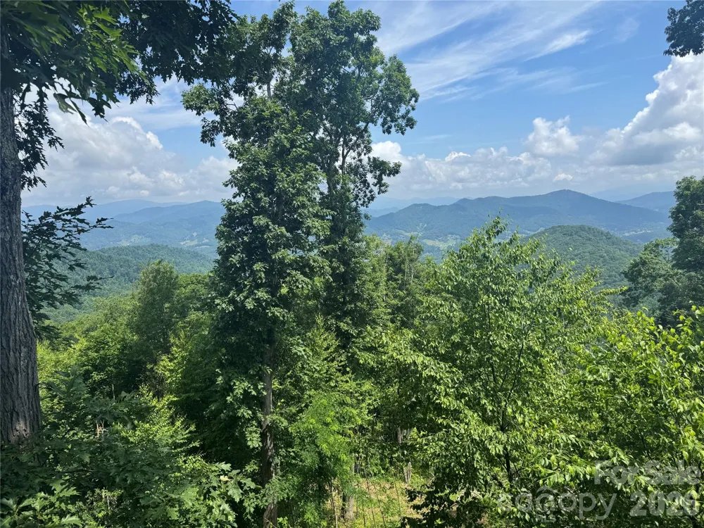 337 Rhododendron Lane Burnsville, NC 28714